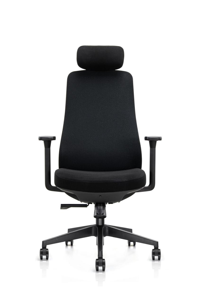 Fauteuil Direction 12